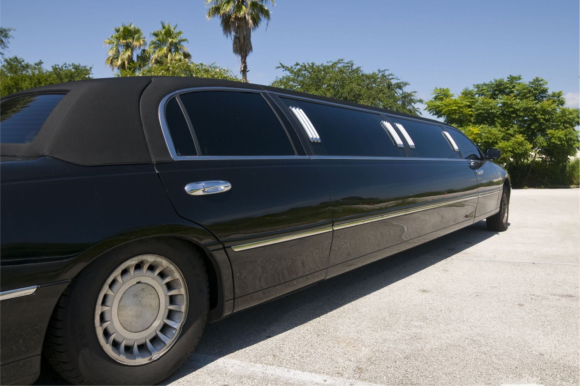 Max's Transportation Services project photo